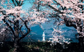 母が綴った愛のかたち