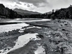 桂川にて — 最後の親孝行