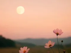 三度、月に祈った夜