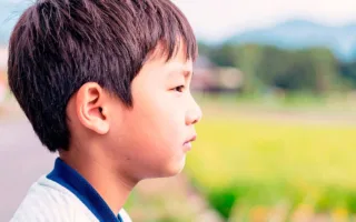 あした かえるね