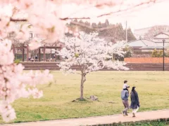 「おかえり」と言ってくれる人