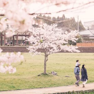 「おかえり」と言ってくれる人