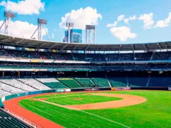 世界で一番温かい野球観戦