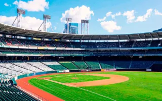 世界で一番温かい野球観戦