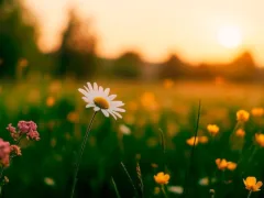 「つまんないことに負けんなよ」