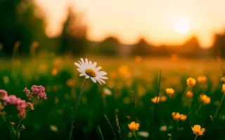 「つまんないことに負けんなよ」